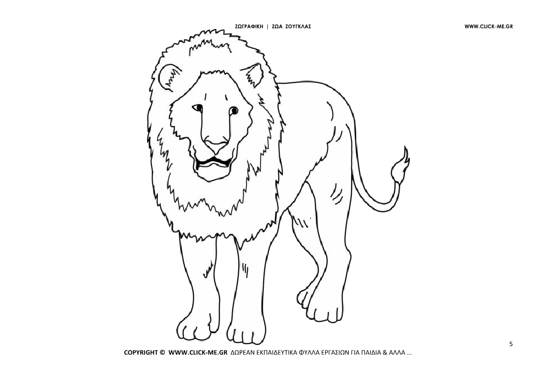 Ζωγραφιά Λιοντάρι - Φύλλο Ζωγραφικής Λιοντάρι