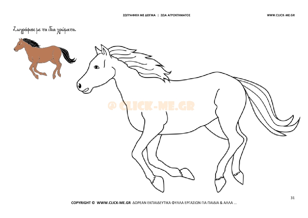 Άλογο - Ζωγραφική με έγχρωμο δείγμα Άλογο