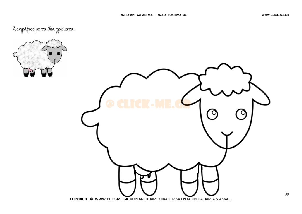 Πρόβατο - Ζωγραφική με έγχρωμο δείγμα Πρόβατο