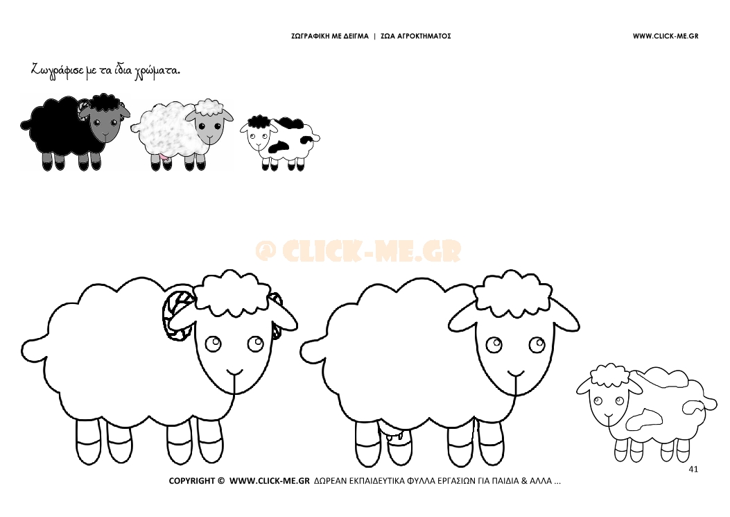 Πρόβατα - Ζωγραφική με έγχρωμο δείγμα Πρόβατα