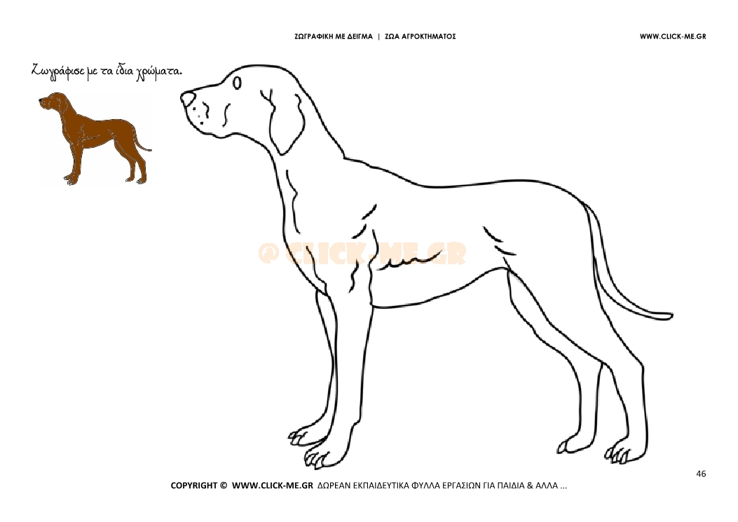 Σκύλος - Ζωγραφική με έγχρωμο δείγμα Σκύλος