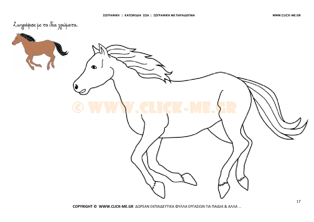 Άλογο - Ζωγραφική με έγχρωμο δείγμα Άλογο