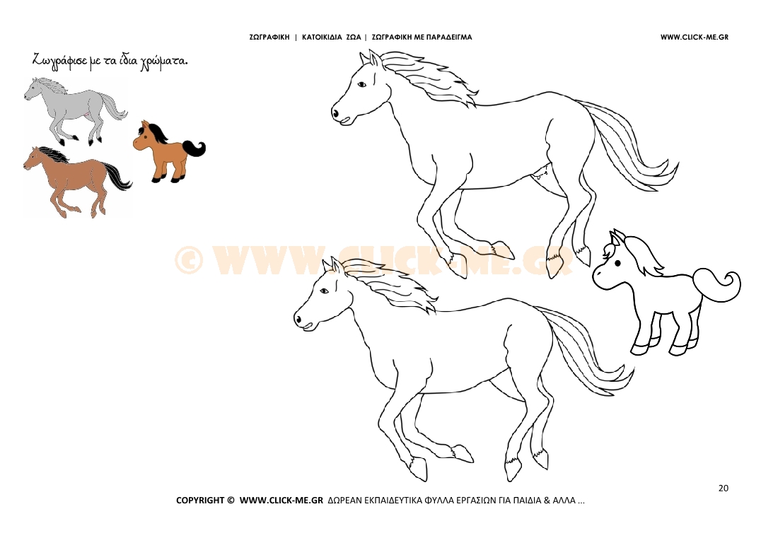 Άλογα- Ζωγραφική με έγχρωμο δείγμα Άλογα