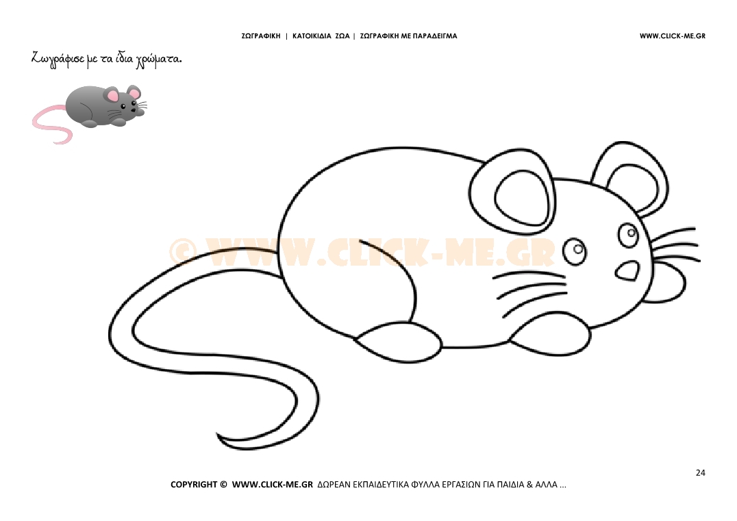 Ποντίκι - Ζωγραφική με έγχρωμο δείγμα Ποντίκι