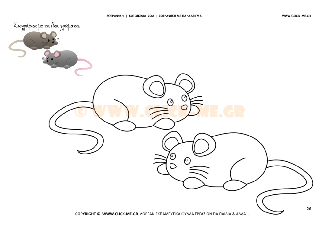 Ποντίκια- Ζωγραφική με έγχρωμο δείγμα Ποντίκια