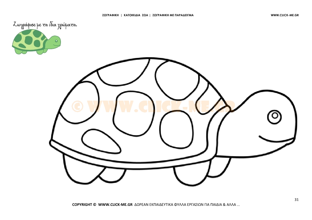 Χελώνα - Ζωγραφική με έγχρωμο δείγμα Χελώνα