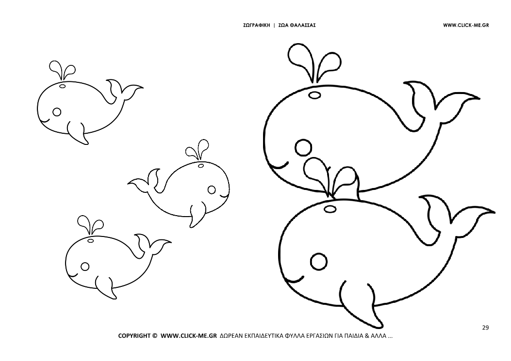 Ζωγραφιά Φάλαινες - Φύλλο Ζωγραφικής Φάλαινες