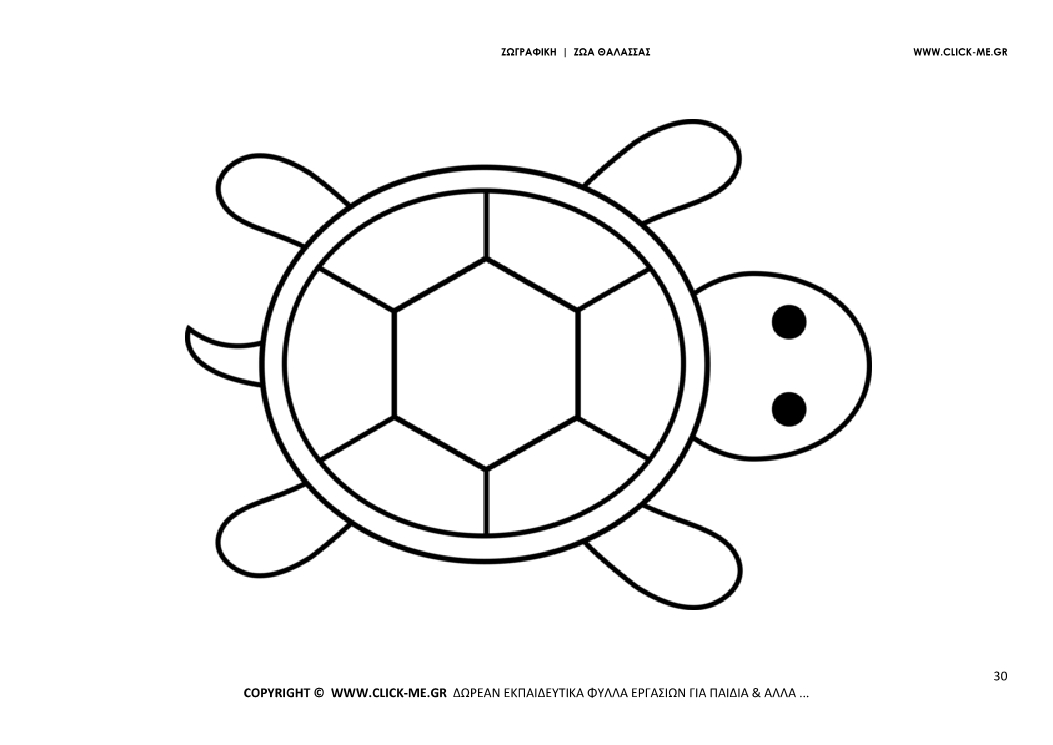 Ζωγραφιά Χελώνα - Φύλλο Ζωγραφικής Χελώνα