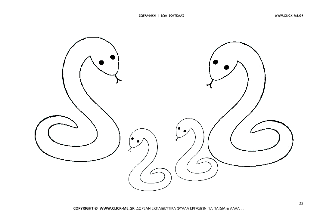 Ζωγραφιά Φίδια  - Φύλλο Ζωγραφικής Φίδια