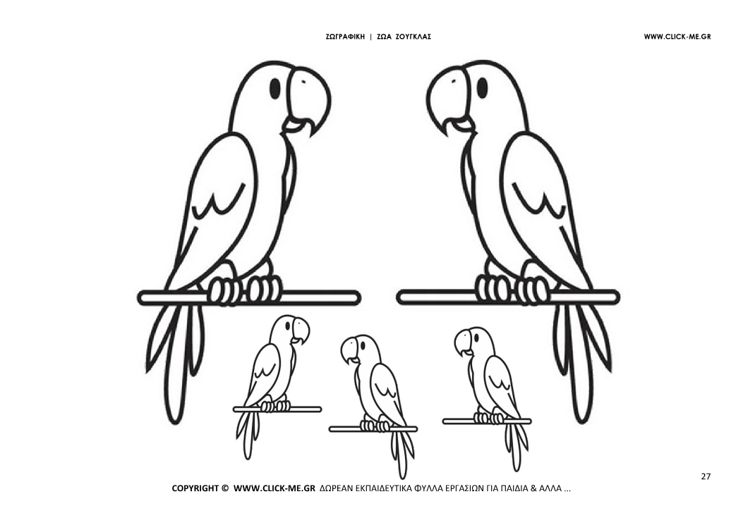 Ζωγραφιά Παπαγάλοι - Φύλλο Ζωγραφικής Παπαγάλοι