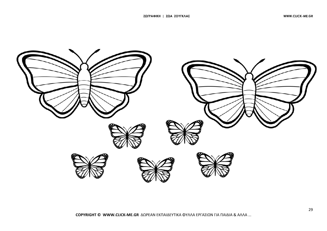 Ζωγραφιά Πεταλούδες  - Φύλλο Ζωγραφικής Πεταλούδες  