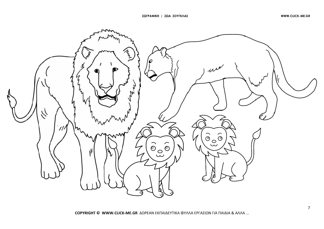 Ζωγραφιά Λιοντάρια - Φύλλο Ζωγραφικής Λιοντάρια