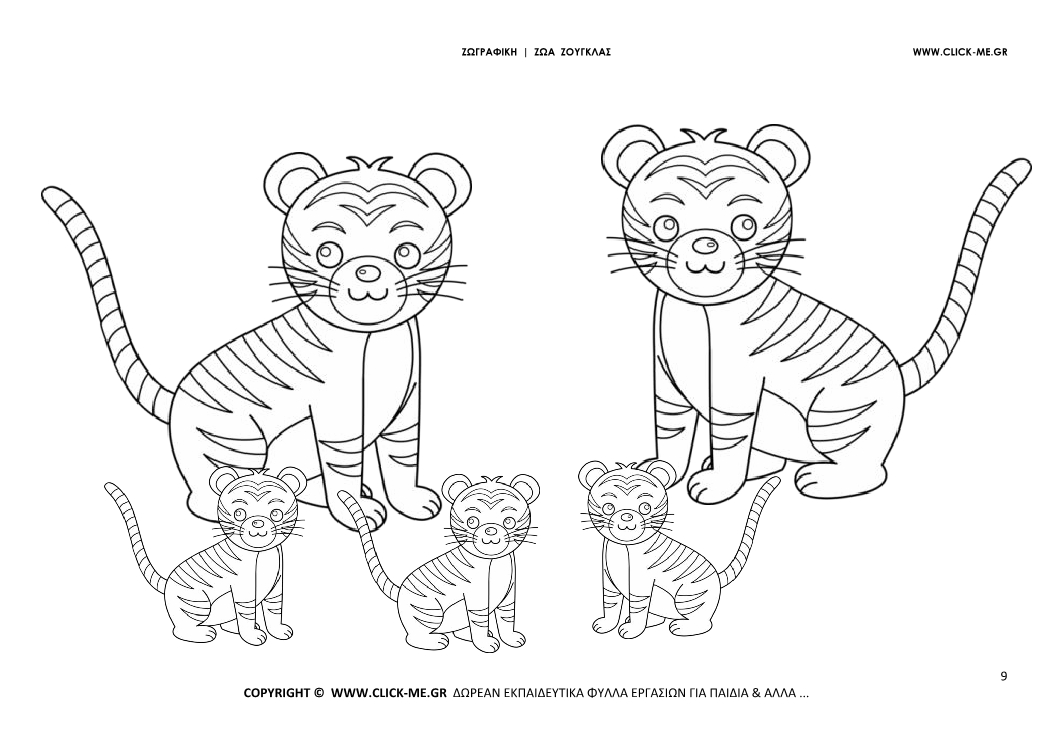 Ζωγραφιά Τίγρεις - Φύλλο Ζωγραφικής Τίγρεις 