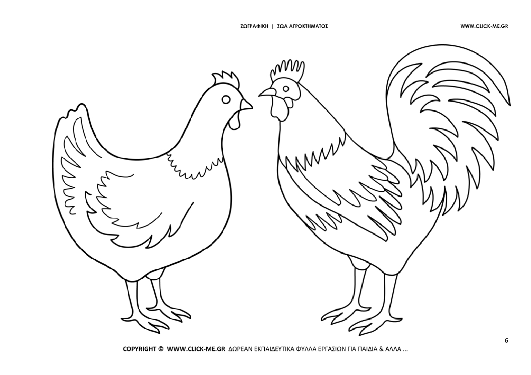 Ζωγραφιά  Κόκορας - Κότα - Φύλλο Ζωγραφικής Κόκορας - Κότα