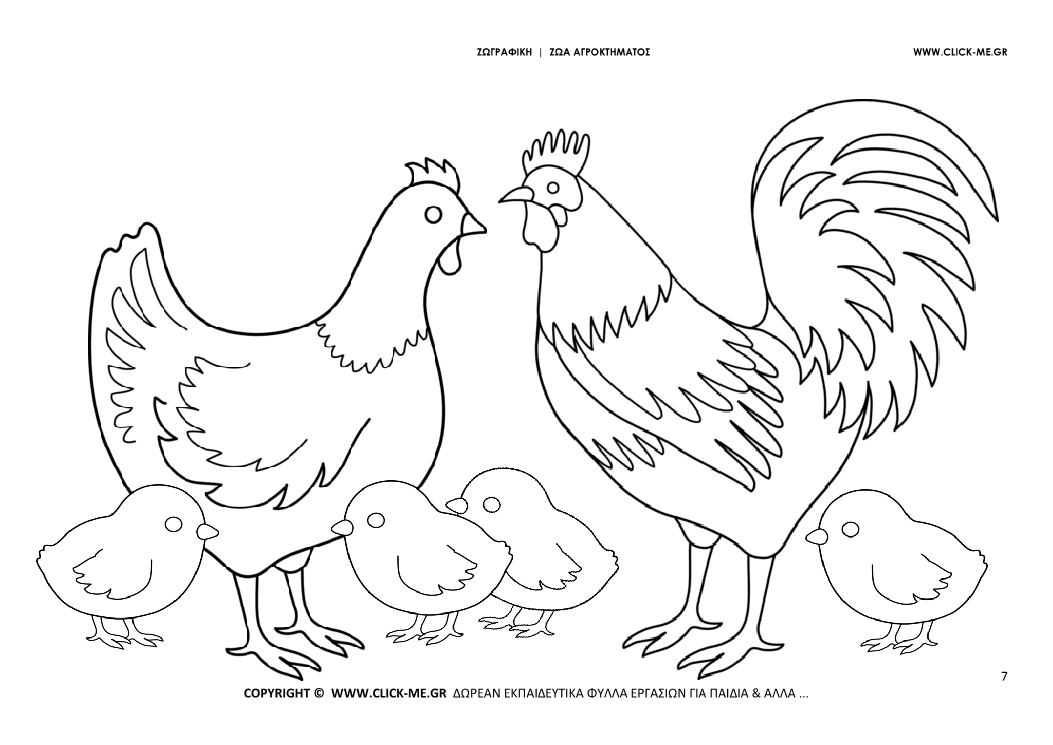 Ζωγραφιά  Κότες - Φύλλο Ζωγραφικής Κότες